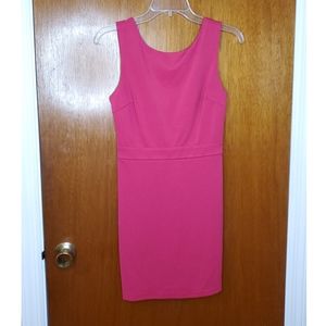 Pink Bodycon Dress - NWT